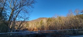 Enlarge photo 402