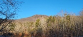 Enlarge photo 406