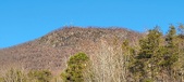 Enlarge photo 407
