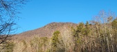 Enlarge photo 409