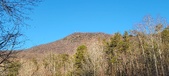 Enlarge photo 410