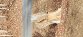 Enlarge photo 412