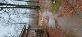 Enlarge photo 416