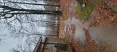 Enlarge photo 417