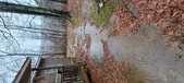 Enlarge photo 421