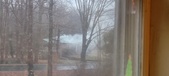 Enlarge photo 419