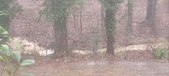 Enlarge photo 418