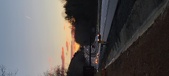 Enlarge photo 431