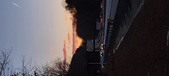 Enlarge photo 445