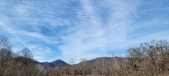 Enlarge photo 215