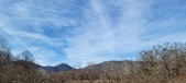 Enlarge photo 216