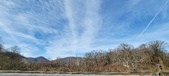 Enlarge photo 217