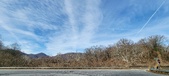 Enlarge photo 221