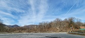 Enlarge photo 223