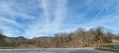 Enlarge photo 224