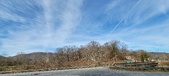 Enlarge photo 227
