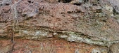 Enlarge photo 232