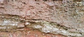 Enlarge photo 231