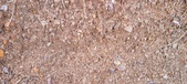 Enlarge photo 229