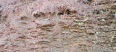 Enlarge photo 234