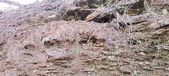 Enlarge photo 235