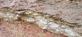 Enlarge photo 237