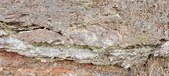 Enlarge photo 238