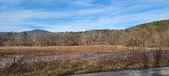 Enlarge photo 372