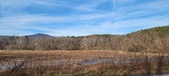 Enlarge photo 373