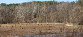 Enlarge photo 376