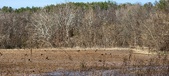Enlarge photo 375