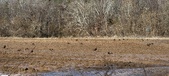 Enlarge photo 374