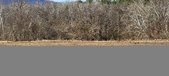 Enlarge photo 307