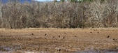 Enlarge photo 370