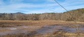Enlarge photo 369