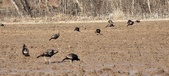Enlarge photo 381
