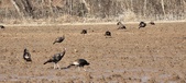Enlarge photo 368