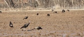 Enlarge photo 383
