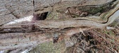 Enlarge photo 348