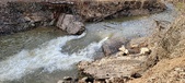 Enlarge photo 347
