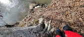Enlarge photo 342