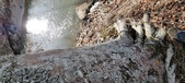 Enlarge photo 340