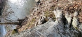 Enlarge photo 357