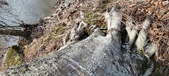 Enlarge photo 358