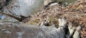Enlarge photo 359