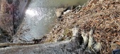 Enlarge photo 356