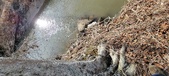 Enlarge photo 355