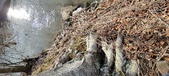 Enlarge photo 353