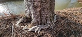 Enlarge photo 354