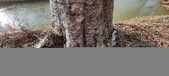 Enlarge photo 386
